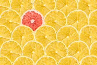 Grapefruit Slice Stand Out From Crowd