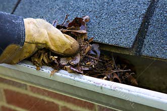 Fall Cleanup - Leaves in Gutter