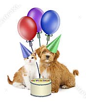 Puppy and Kitten Birthday Party