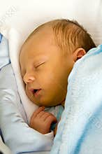 Newborn sleeping