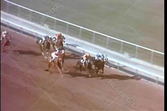 Horse taking the lead during horse race