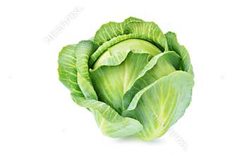 Cabbage isolated on white background