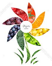 Fresh fruits and vegetables