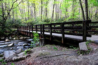 Great Smoky Mountains Kephart Prong Bridge