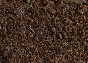 Peat soil texture background