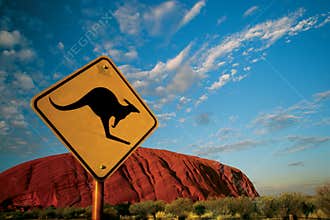 Kangaroo Ayers Rock