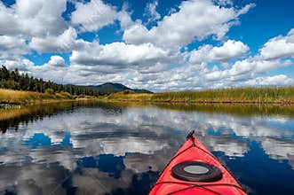 Kayaking through wetlands and forest in Oregon