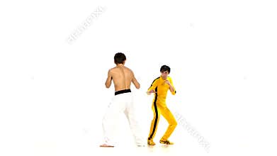 Karate and taekwondo sparring. strikes, falling on