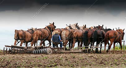 Farmer on a fileld 2.