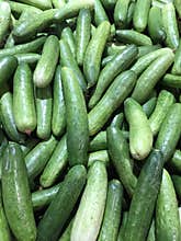 Cucumber