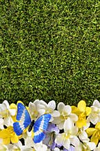 Spring or summer border background