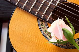 Rose on guitar with piano key.