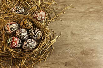 Easter eggs in nest on wooden background