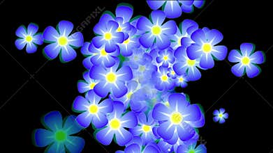 Blue flowers