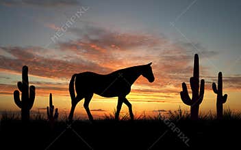 Horse