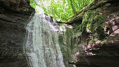 Forest waterfall falling on rocky cliff