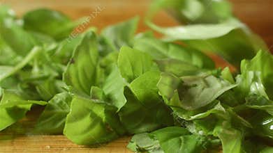 Healthy fresh green basil food prep cutting up in kitchen