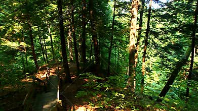 Shades State Park Indiana