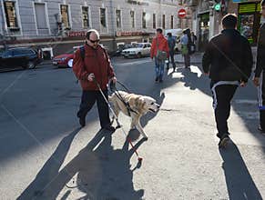 Blind man and guide dog