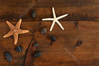 Starfish and rocks summer background