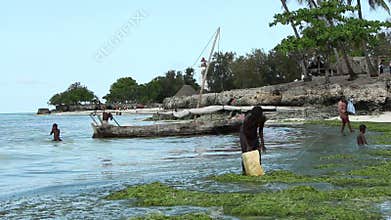 Children playing in shallow water - Zanzibar