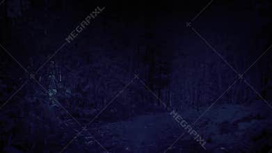 Scary POV Going Through The Woods At Night