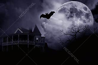 Haunted Halloween Mansion