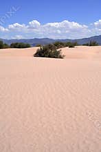 Bilbao dunes