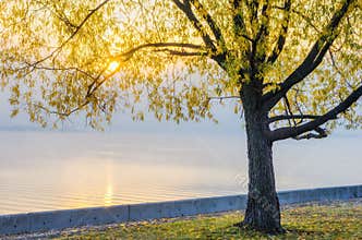 Autumn view of the embankment of the Dnieper River