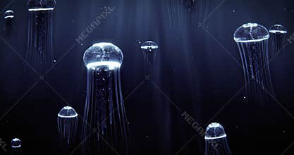 Blue Jellyfish Swimming in Deep Dark Ocean 4k Loop