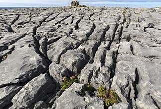 The Burren is a karst-landscape region in northwest County Clare, in Ireland.