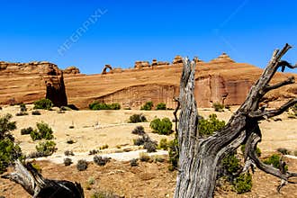 Delicate Arch at Arches National Park