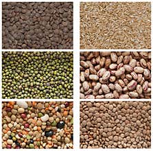 Collection of legumes