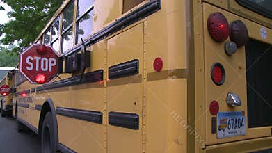 School bus stop signs