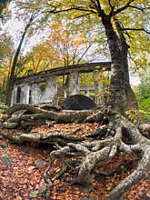 Carbide Willson Ruins