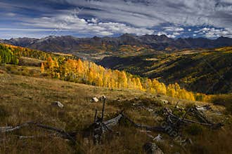 Aspen Trees in Fall Color near Sunshine Mesa