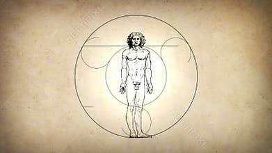 Animated Vitruvian Man by Leonardo Da Vinci