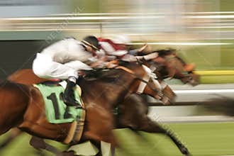 Horse Race