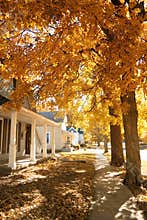 Fall in small town