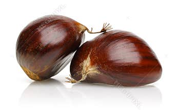 Chestnut