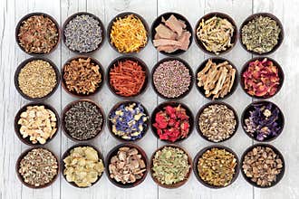 Herbal Medicine