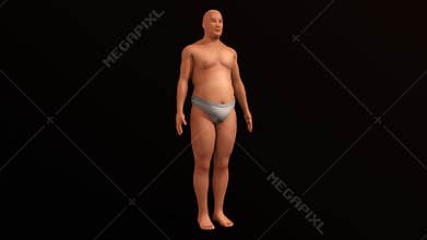 Human Becoming normal to fat