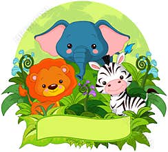 Jungle Animals