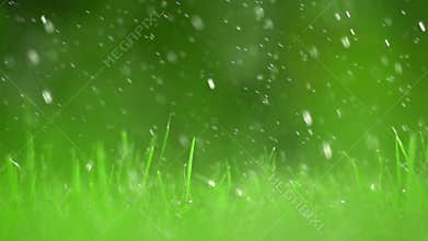 Green grass lawn and falling raindrops, shallow DOF. Super slow motion video, 500 fps