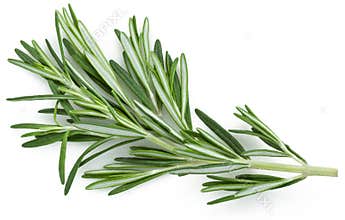 Rosemary