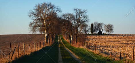 Country Dirt Road
