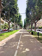 Boulevard in Tel Aviv