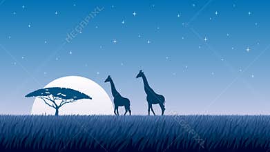 African Landscape Night