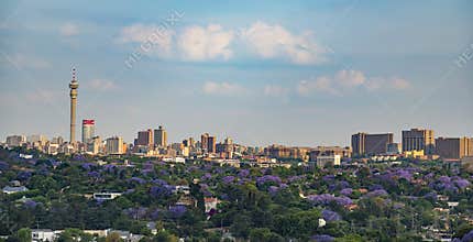 Johannesburg CBD Skyline Jacarandas Bloom