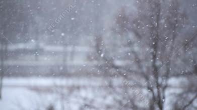 Heavy snowfall in a city